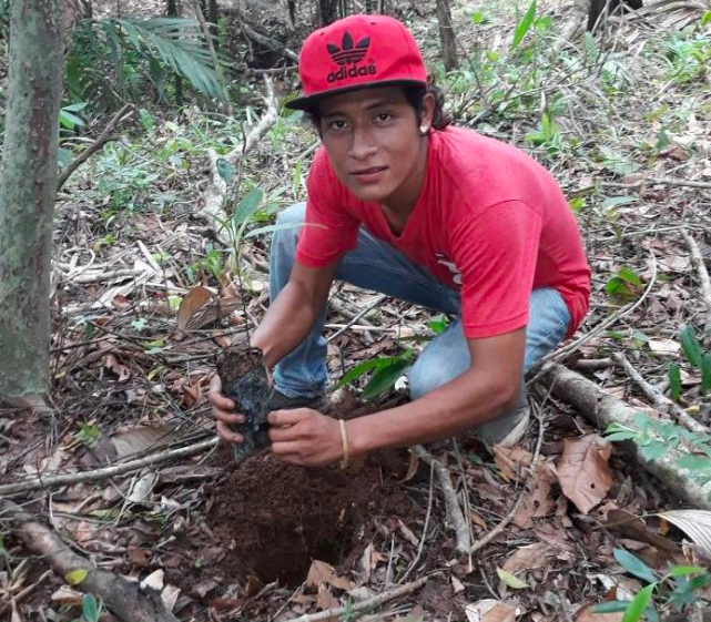 reforesta1